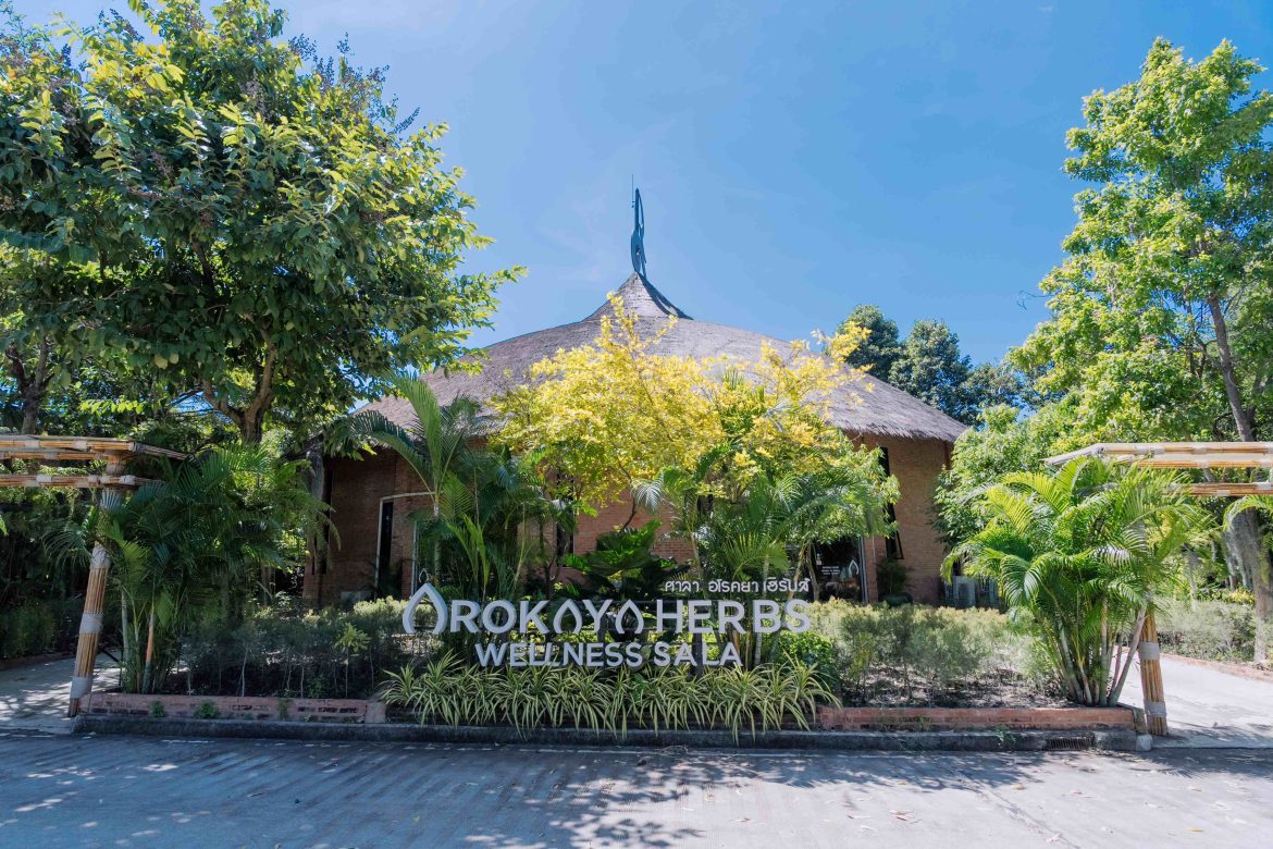 AROKAYA WELLNESS SALA