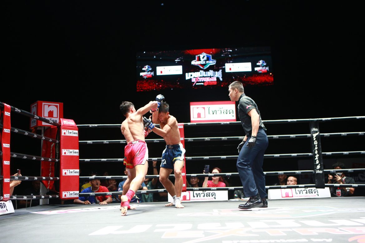FAIRTEX FIGHT_02